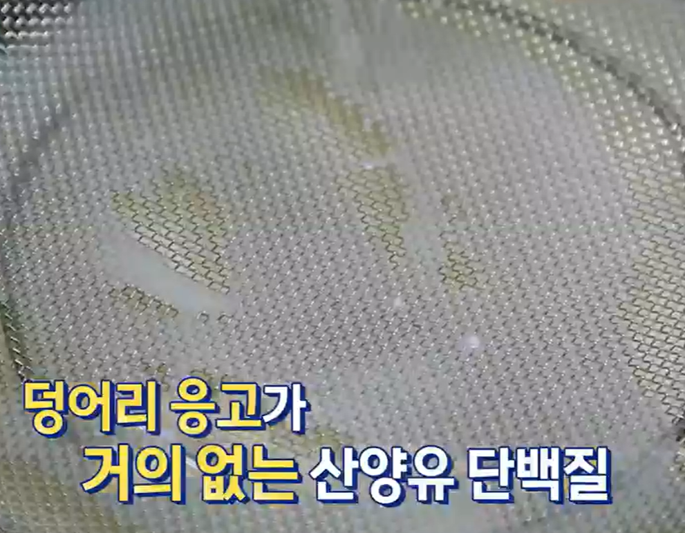 산양유 단백질 효능