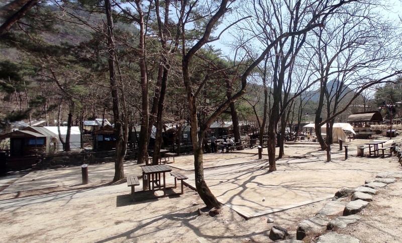 닷돈재야영장의 4월 바닥 그늘모습