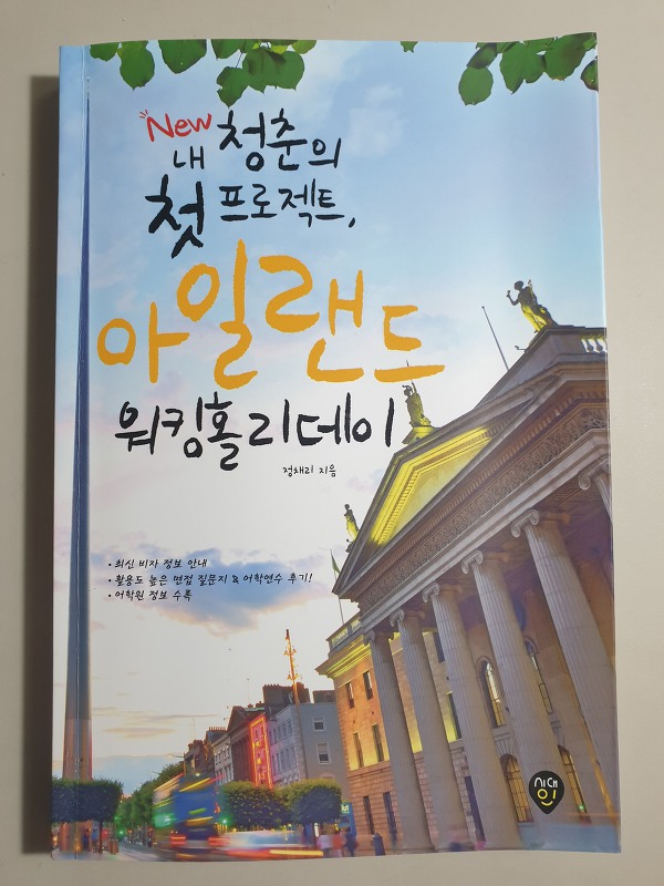 내 청춘의 첫 프로젝트 아일랜드 워킹홀리데이 책