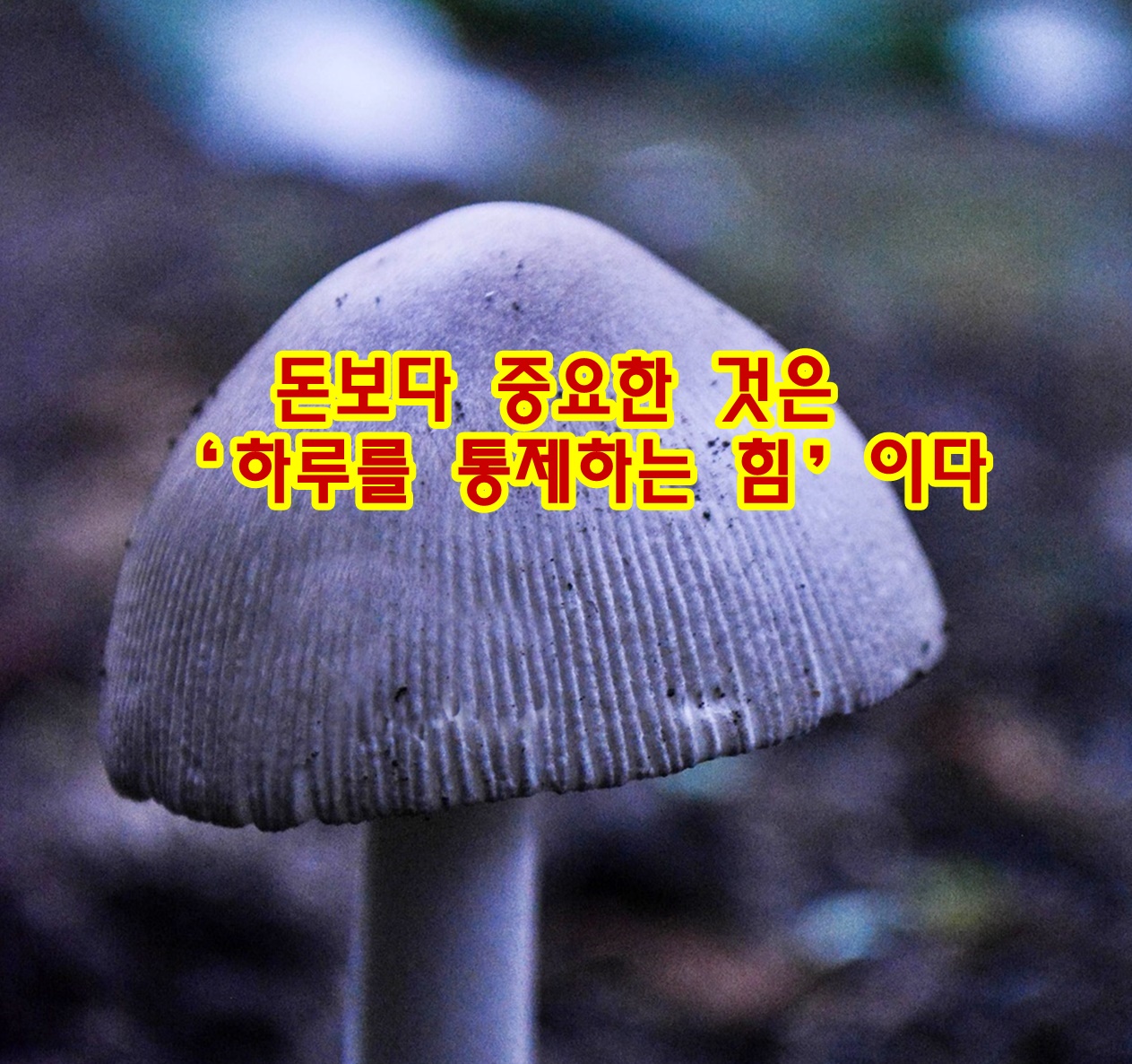 돈보다 중요한 것은 &lsquo;하루를 통제하는 힘&rsquo;이다