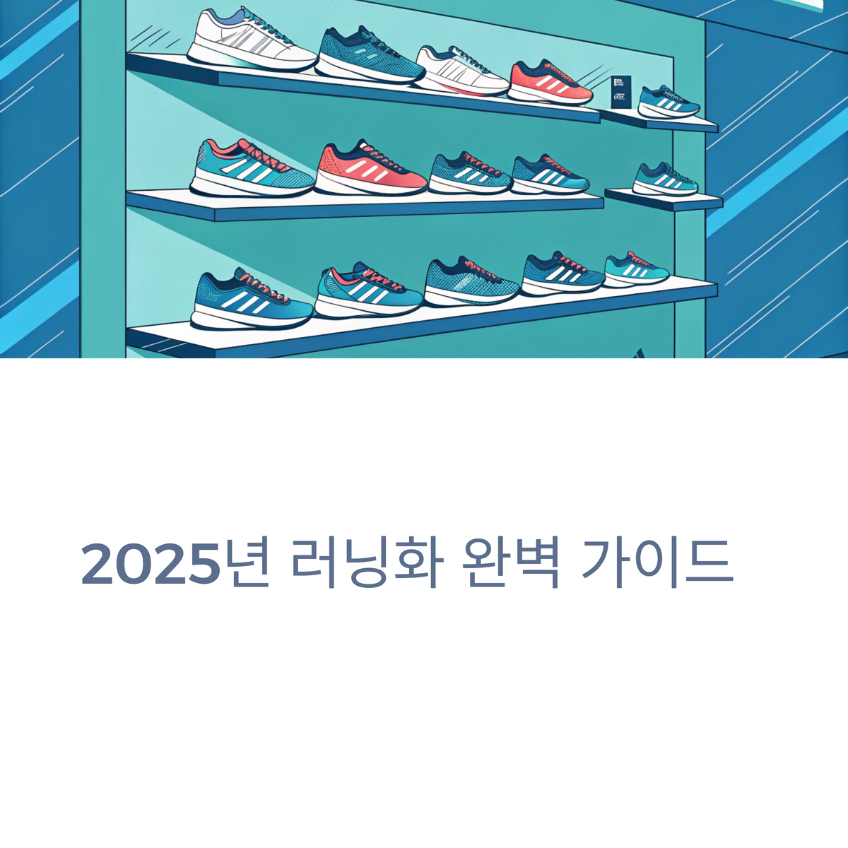 최신 러닝화 계급도