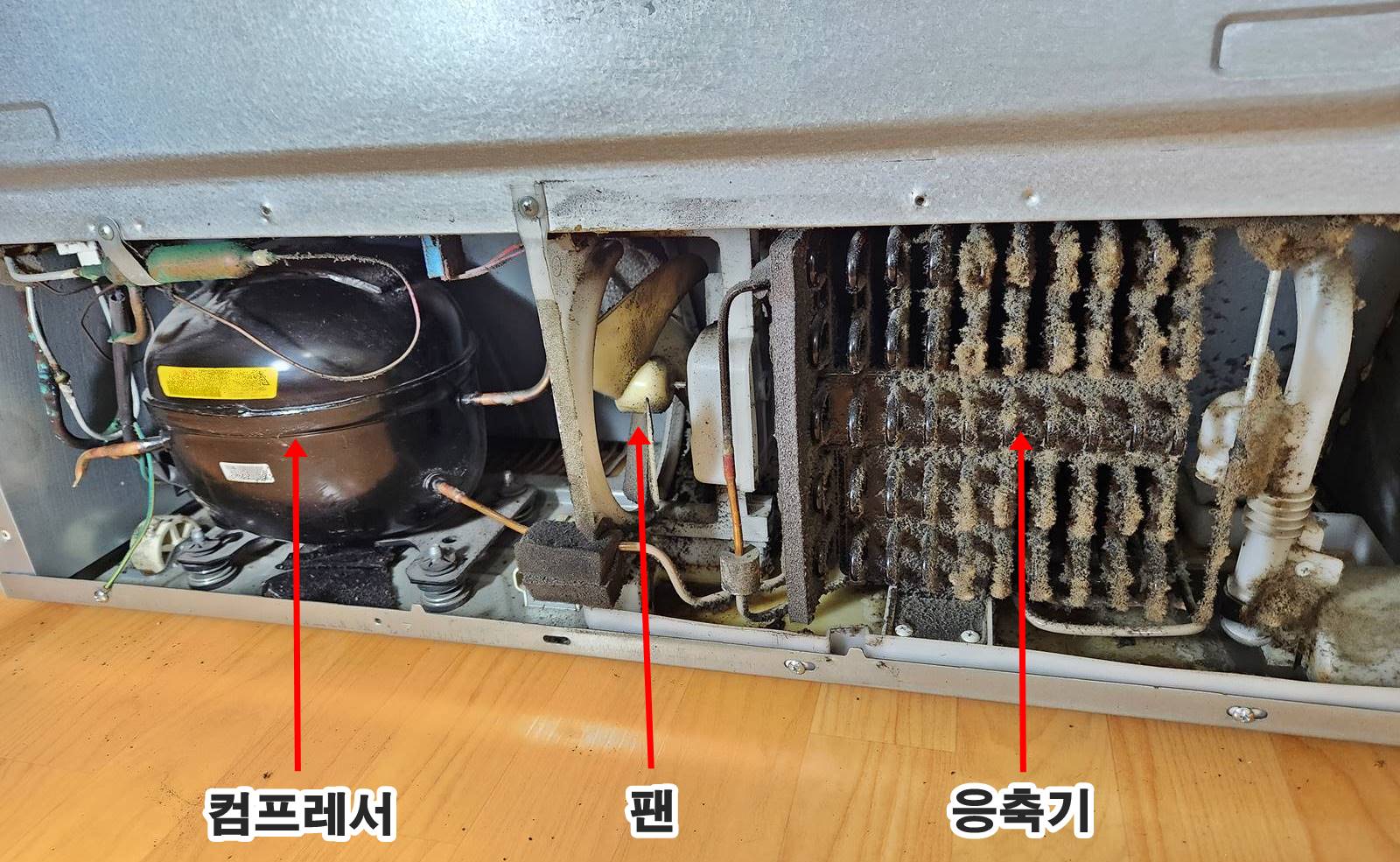 냉장고 뒤 열배출구 부분 먼지 청소 필요성
