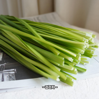 부추 효능