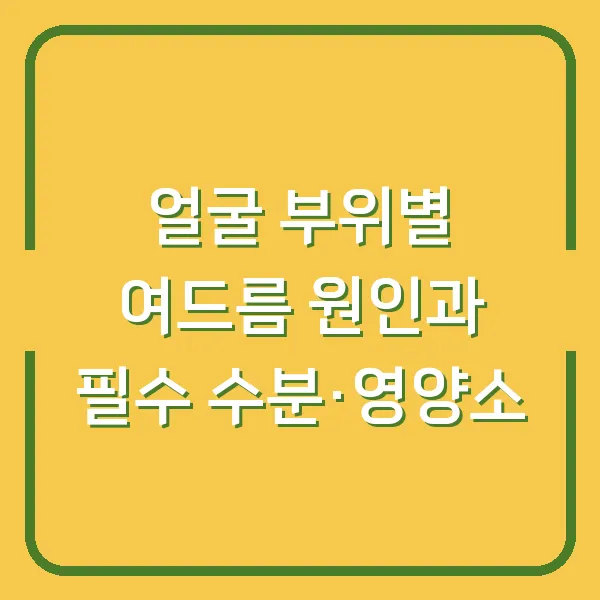 얼굴 부위별 여드름 원인과 필수 수분·영양소