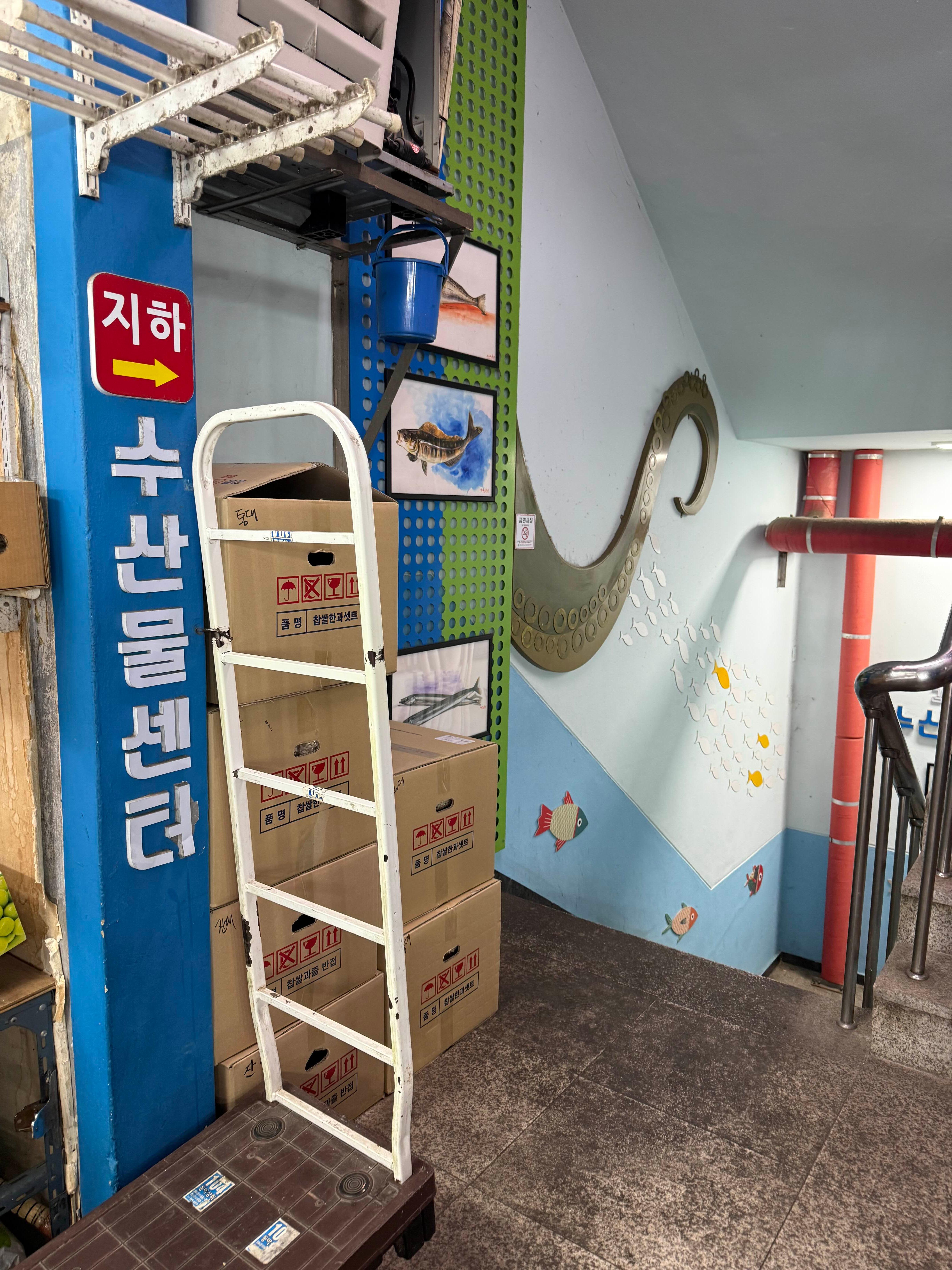 강릉중앙시장