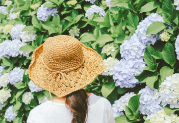 2025 울산 장생포 수국축제