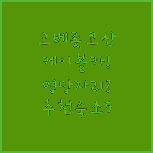 고베 롯코산 케이블카 투어와 유키노차..