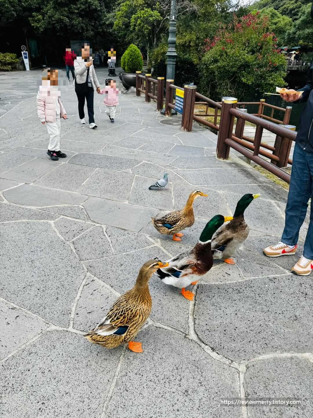 폭포가는 길 오리
