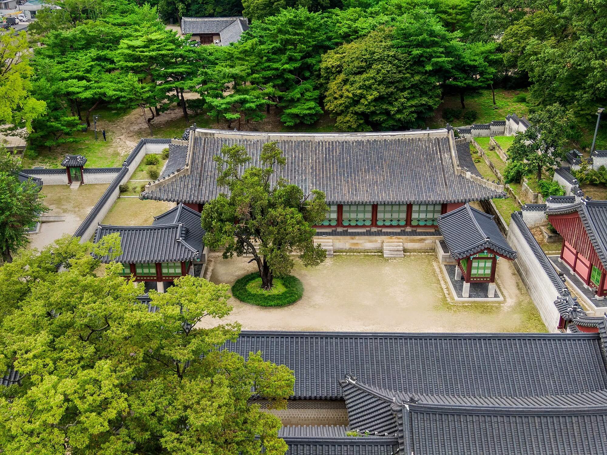 창덕궁 약방 개방 오미자차 시음