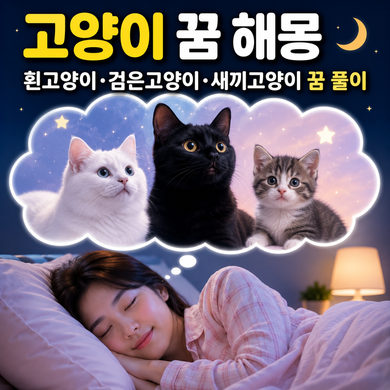 고양이 꿈