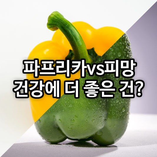 파프리카vs피망 건강에 더 좋은 건?