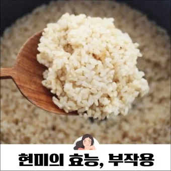 현미밥 맛있는 짓는법 현미밥 효능 올바른 복용법_9