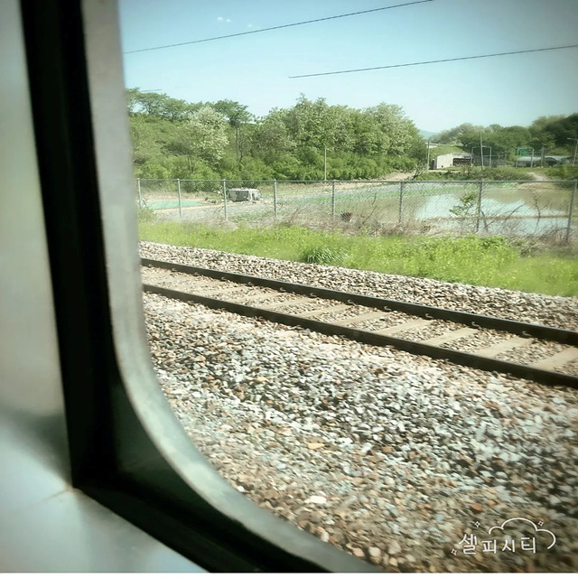 코레일 다자녀 등록 할인 방법