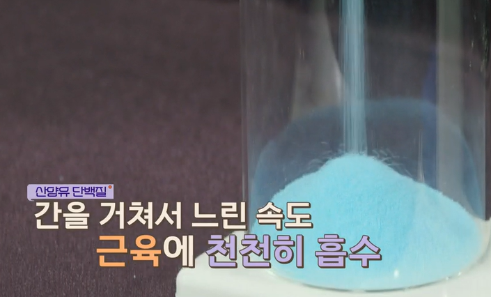 산양유 단백질 먹는 법