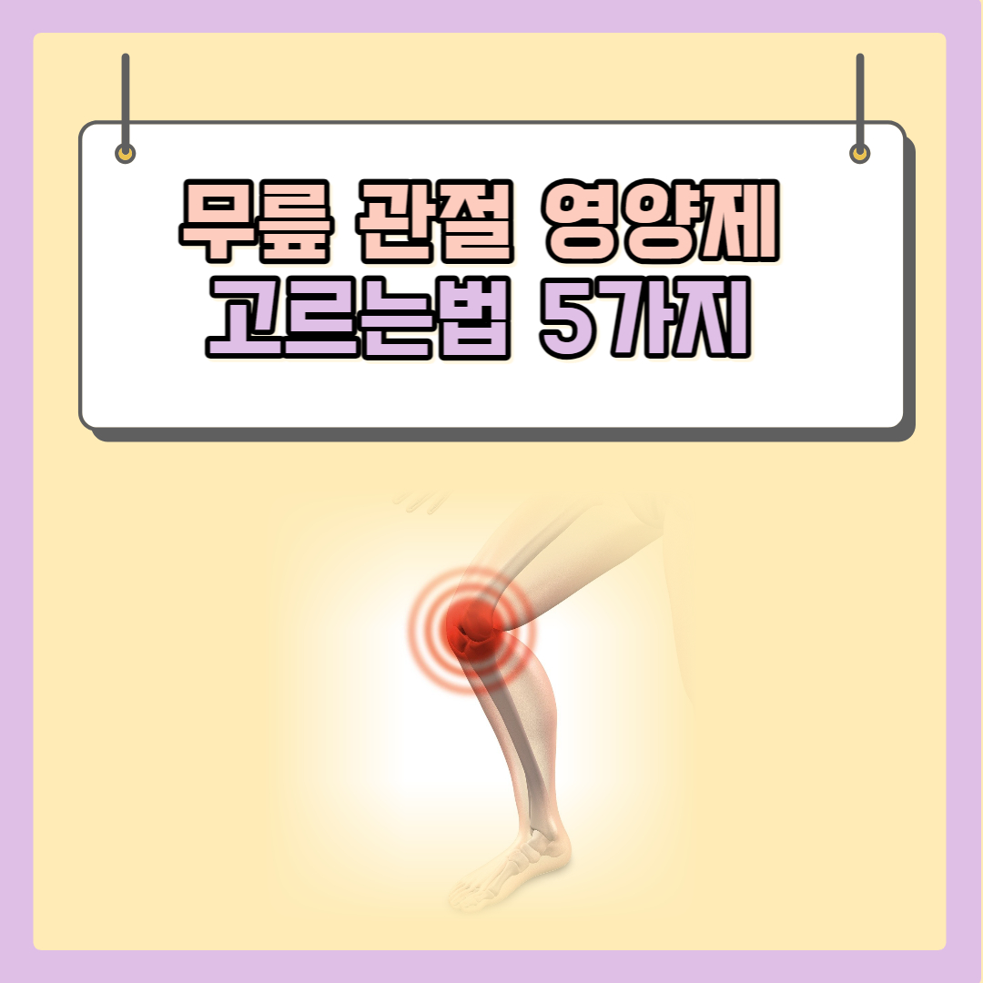 무릎-관절에-좋은-영양제-고르는법