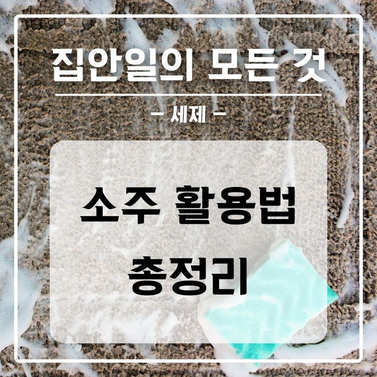 소주 세탁 청소 활용법 총정리