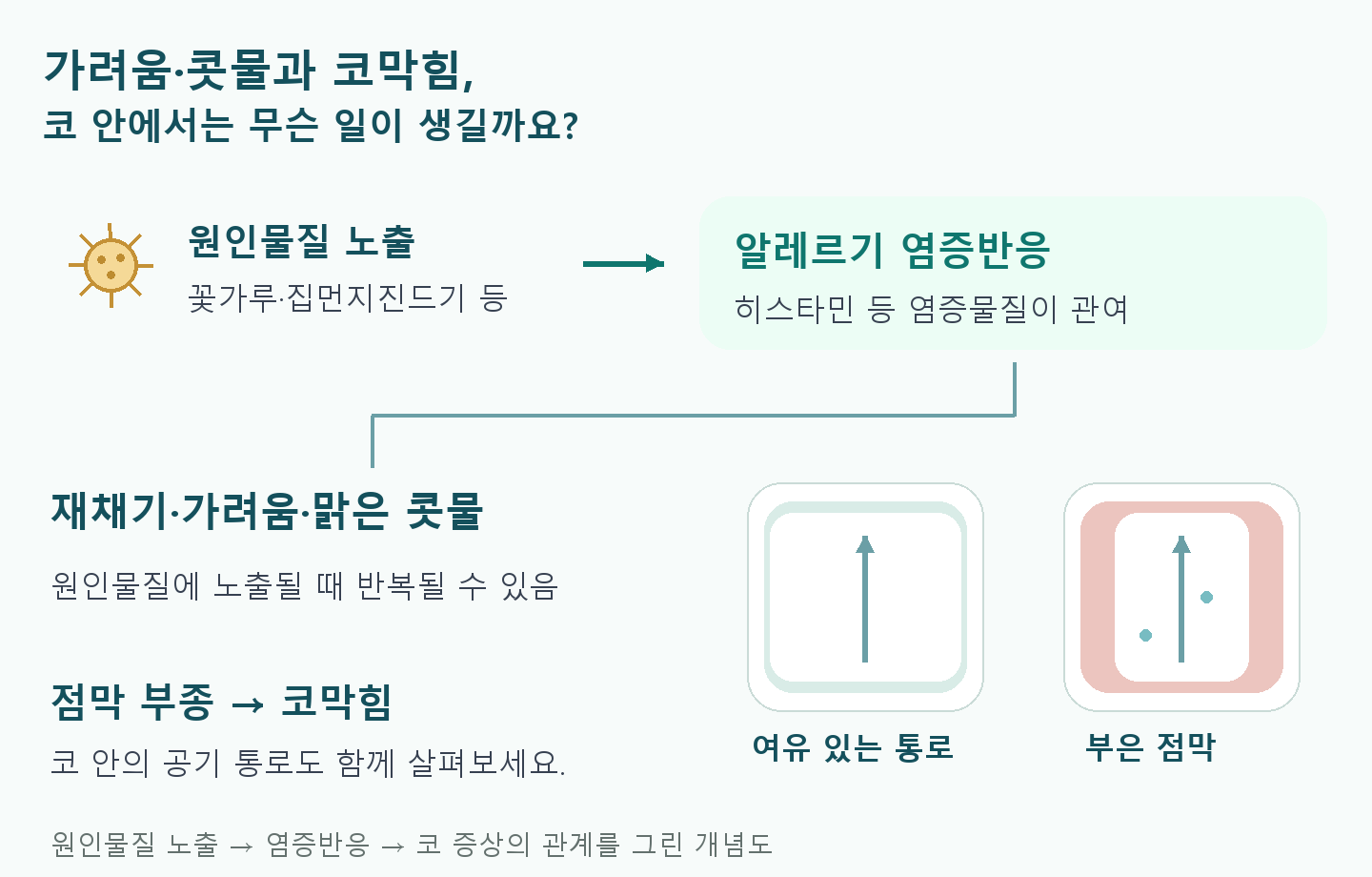 꽃가루 노출에서 알레르기 염증반응으로 이어지고 가려움&middot;콧물과 점막 부종에 따른 코막힘이 나타나는 개념도