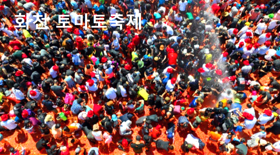 화천토마토축제