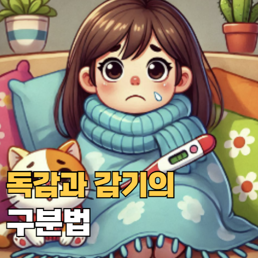 독감과 감기의 구분법