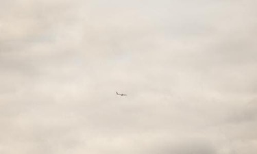 손가락 요가 당신만 몰랐던 이유 알아보기