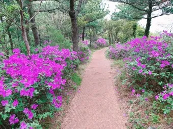 걷기좋은 숲길 50 서울 전남 경북_18