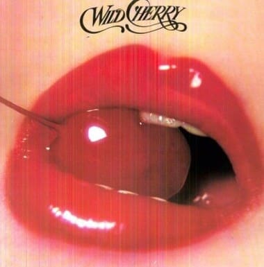 와일드 체리 디스코지