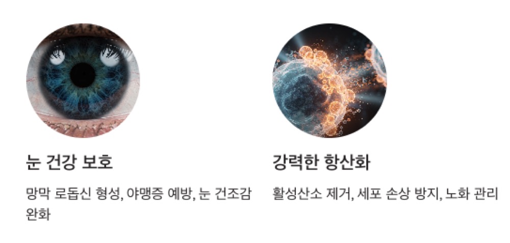베타카로틴 강력한 항산화