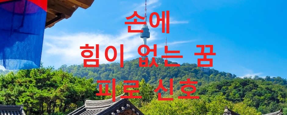 꿈과건강
