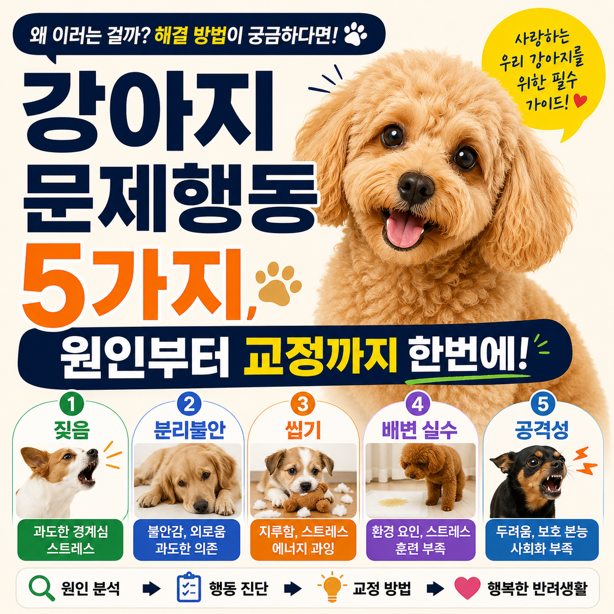 강아지 문제행동 5가지, 원인부터 교정까지 한번에