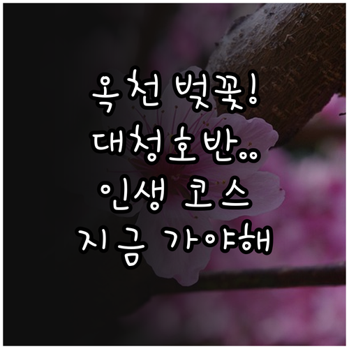 옥천 벚꽃 명소 추천 및 대청호반 드..