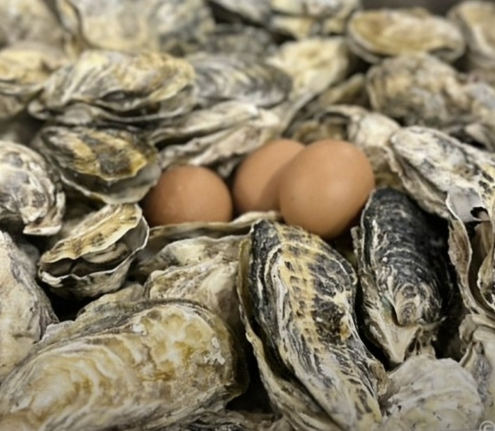 시흥 굴찜 맛집 | 생방송투데이 ‘대식가-겨울의 백미 대왕 굴찜’ 나온 통굴통굴 시흥본점시흥 굴찜 맛집