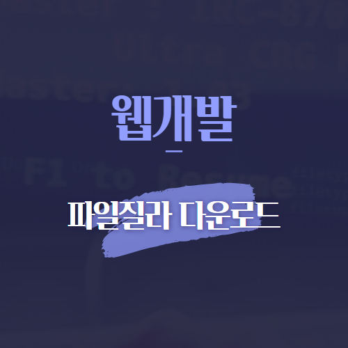 웹개발 파일질라 다운로드