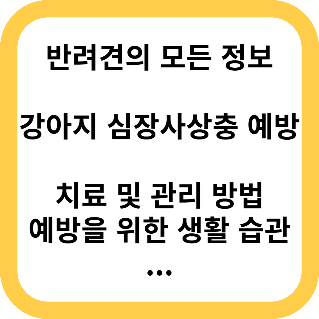 강아지 심장사상충 예방