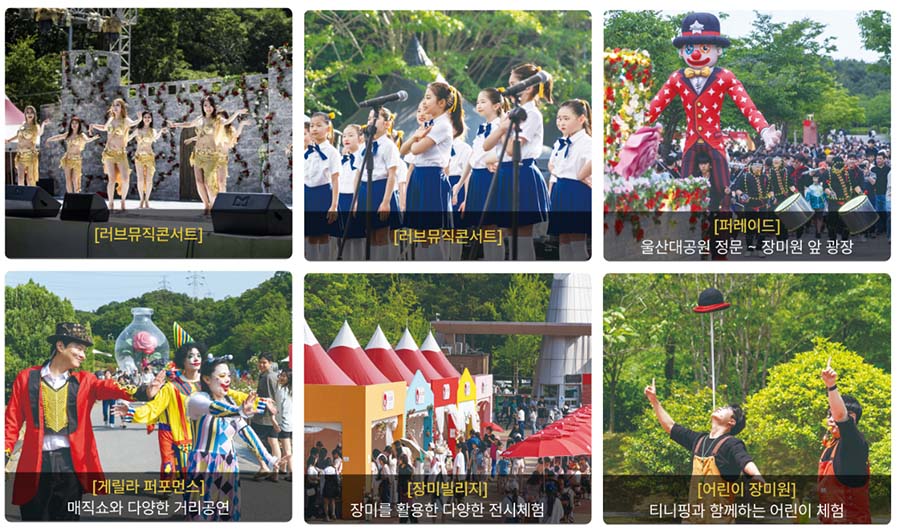 울산대공원 장미축제