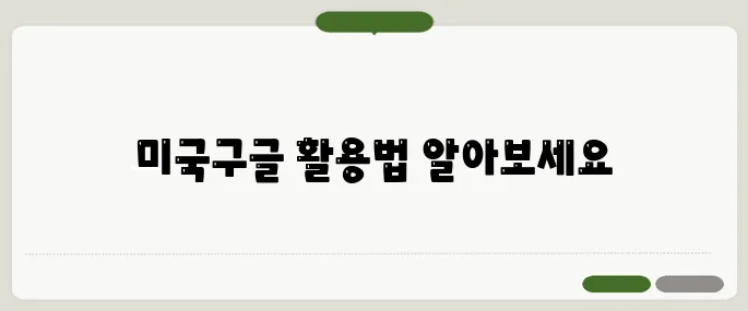 미국구글 바로가기 주의사항 놓치면 후회해요