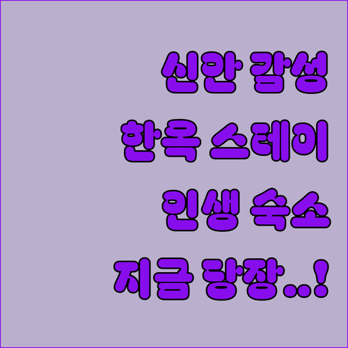 신안 감성 숙소 한옥 스테이 펜션 리..