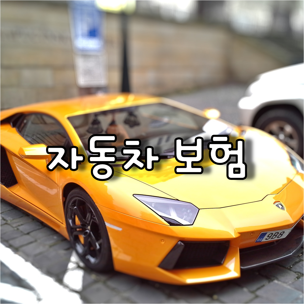 자동차 보험