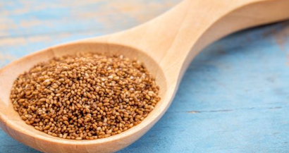 테프효소-유산균-효능