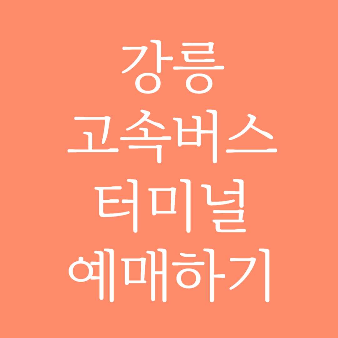 강릉 고속버스터미널 시간표 조회 및 예매하기