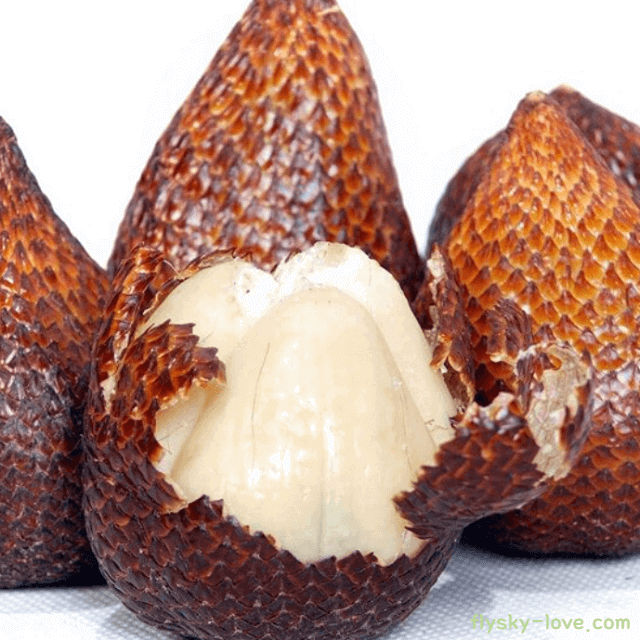 살라크 고르는 법