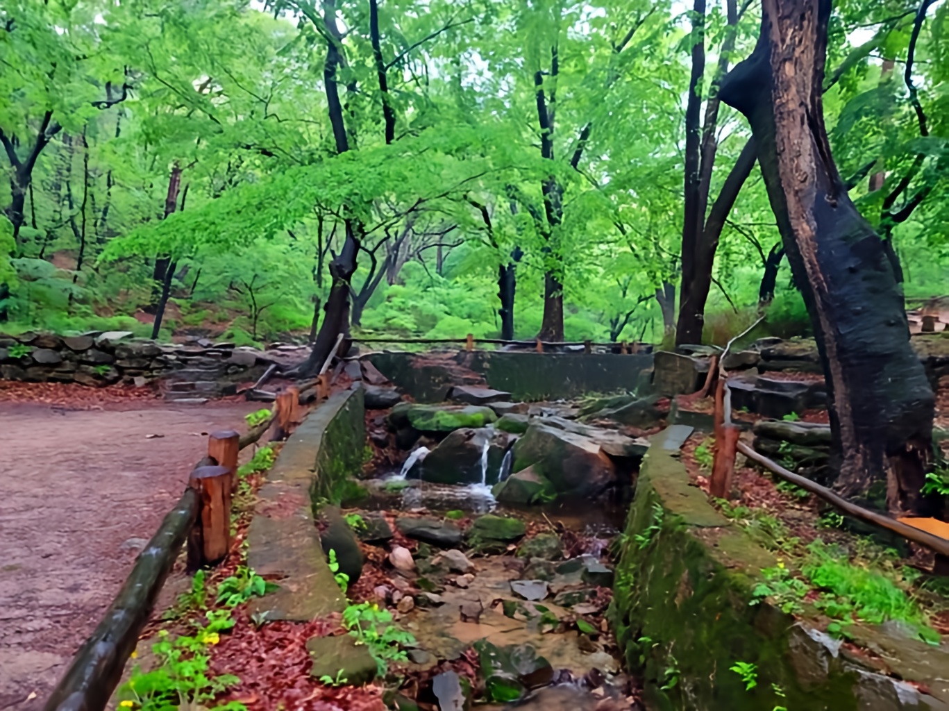 도심 속 청정 생태구역 '백사실 계곡'