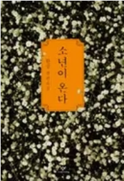 한강 소년이 온다