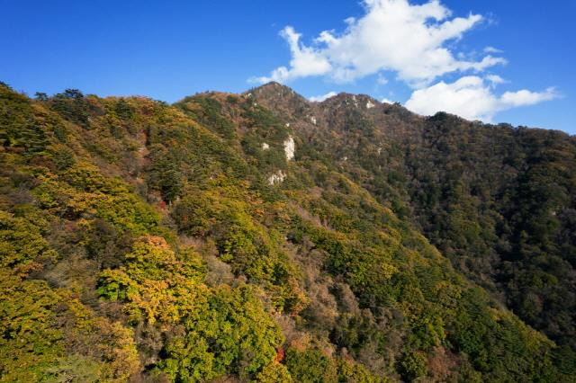 백덕산 등산지도 및 주차장