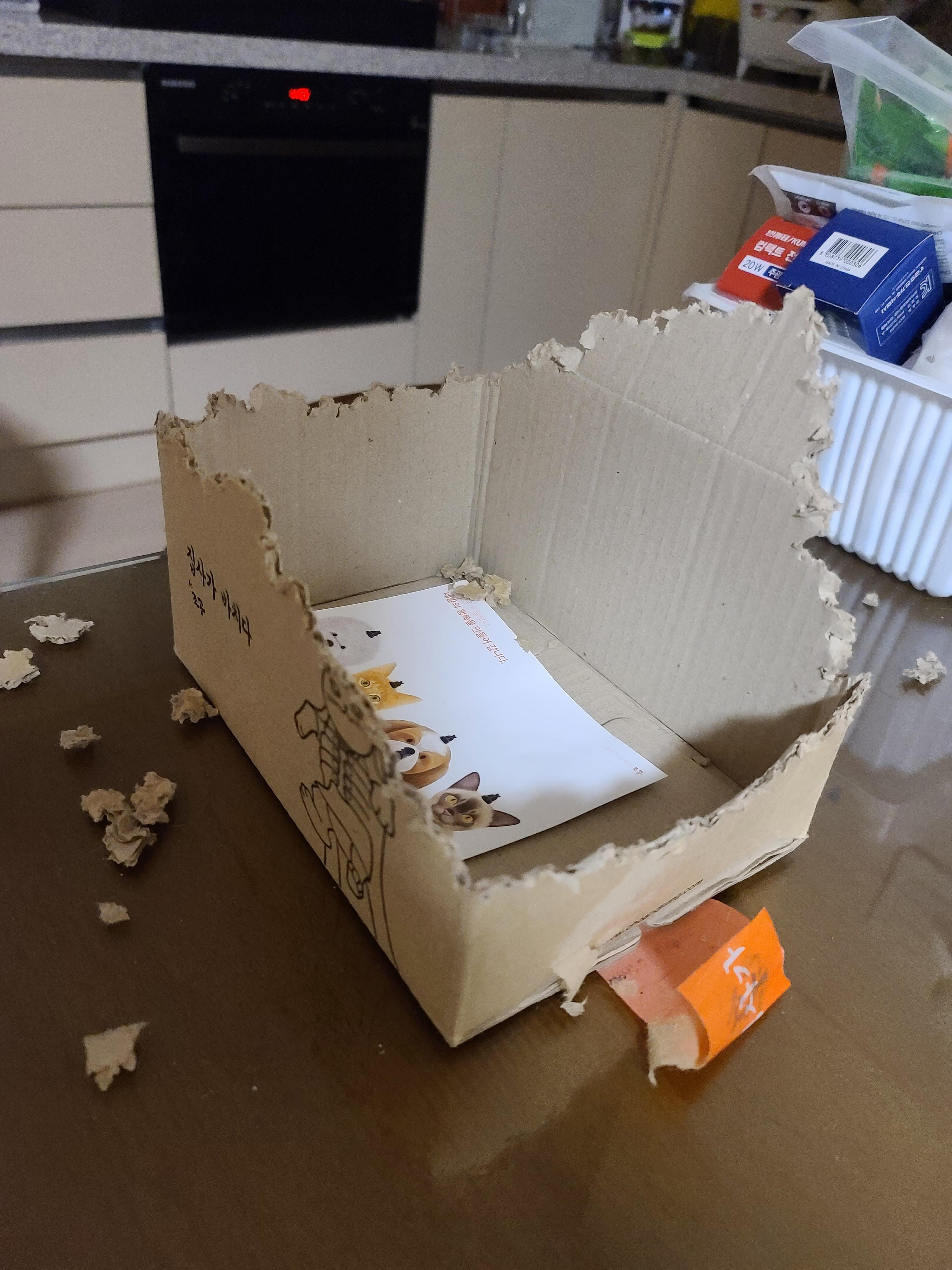 며칠전 건이가 작업하던 박스의 현재모습. 고양이 박스뜯기.