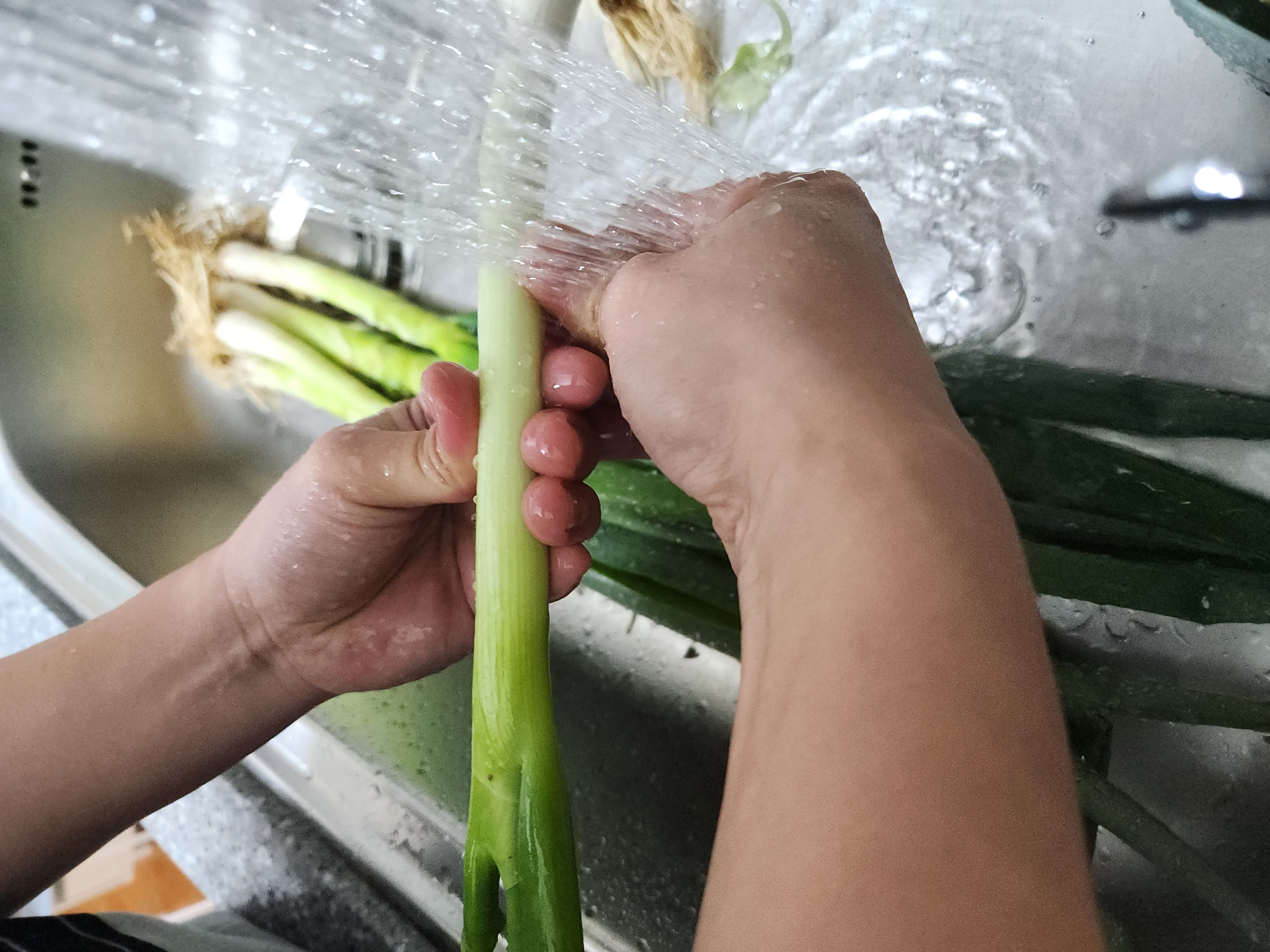 대파 보관법&amp;#44; 대파 효능에 대해 확실히 알려드릴게요. 냉동보관법