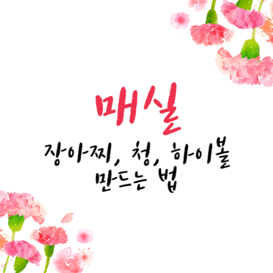 매실 장아찌, 청, 하이볼 만드는 법