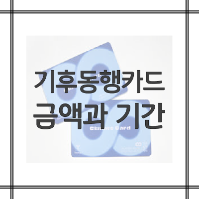 기후동행카드-금액-사용기간