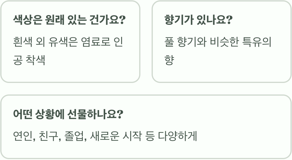 안개꽃 꽃말과 색상별 의미 총정리