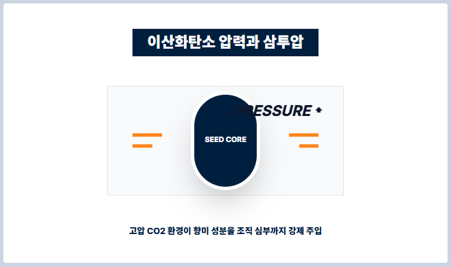 이산화탄소 압력과 삼투압/로스트프로 무산소발효 커피 공학 다이어그램