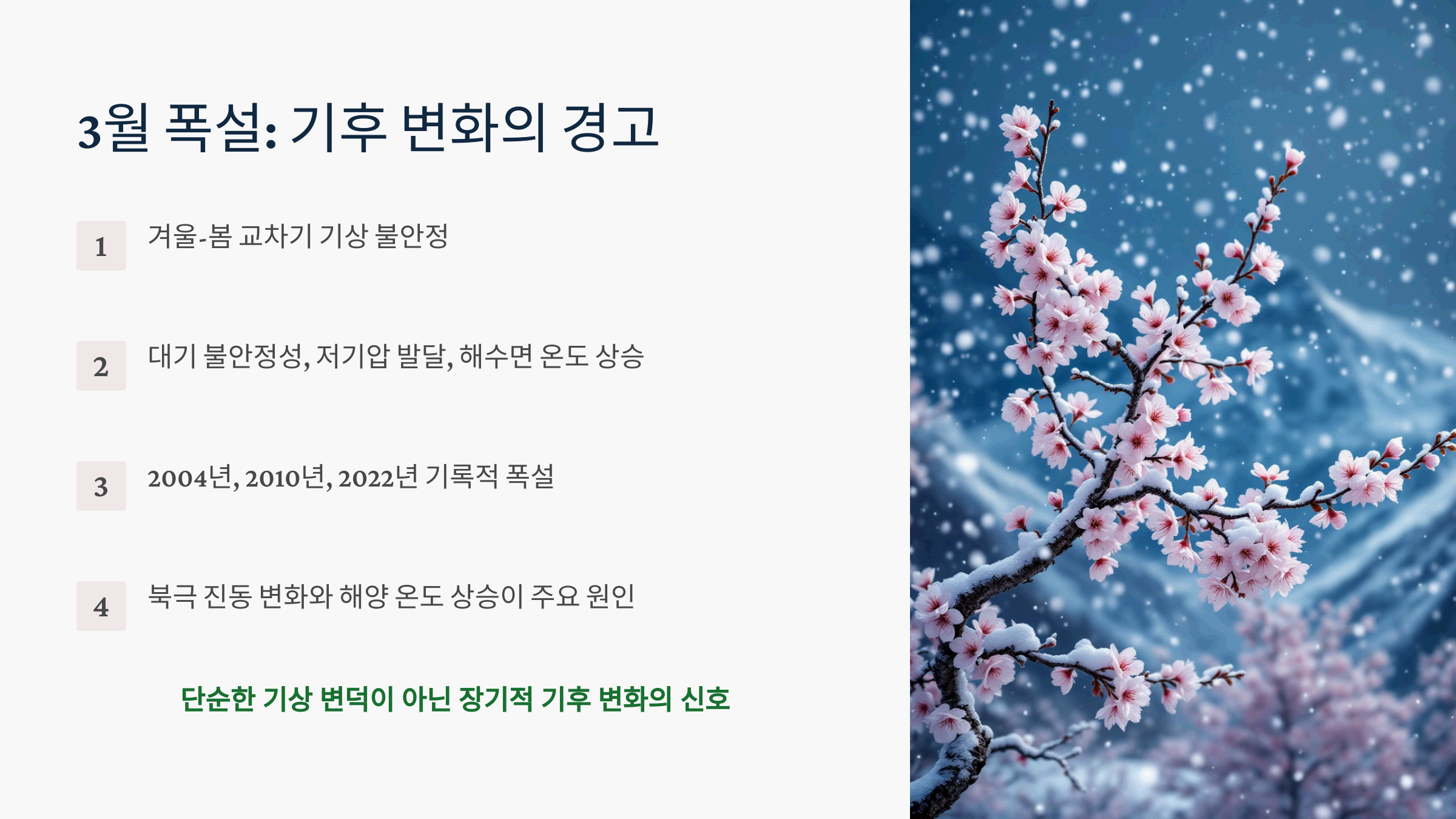 3월 폭설의 주요 기상학적 원인